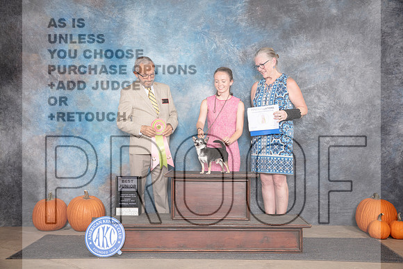 Chiahuahua #J604 Sun BJr Judge Tim Catterson__JP_9480_Humble_2024_HR3