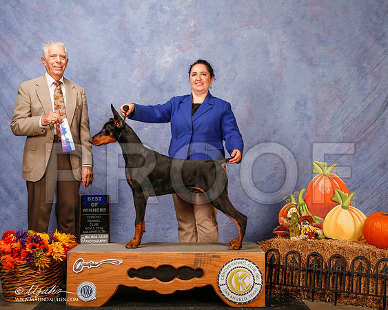 _CL_4592-2-SanAngelo2014-HR3