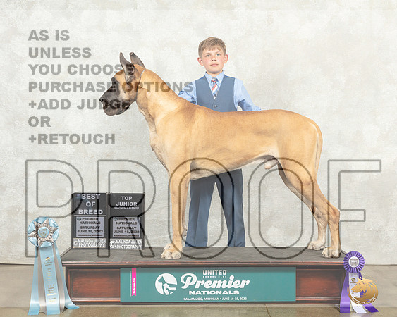 Great Dane #933 Sat JrBOB__MJ_9297_Premier_2022_HR3