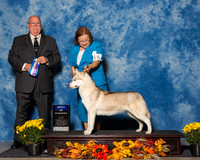 Siberian Huskies #10 Sat BOW Lloyd Ruth A Eden E A Rominger Judge Mr Douglas R Holloway Jr