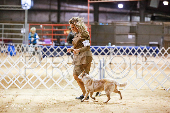 _JN_4143-2-GlenRoseJan2015-HR3