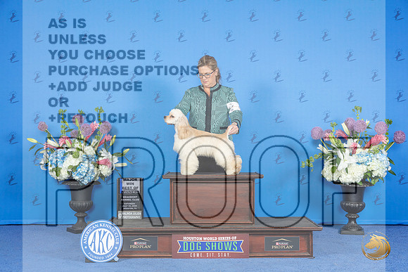 Cocker Spaniel Ascob #7 SAT BOW M Judge Ronald Freeman__JP_0697_Houston_2024_HR3