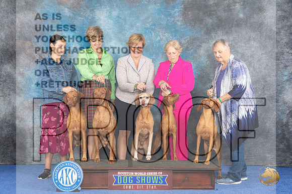 CUSTOM Vizsla Family WED__JP_7554_Houston_2024_HR3