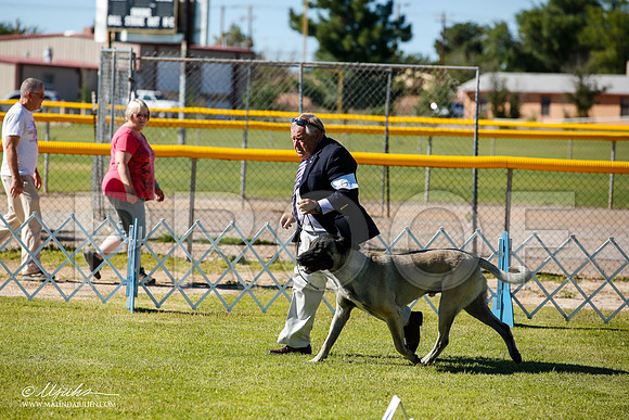 _JN_7469-AlamogordoOct2014-HR3