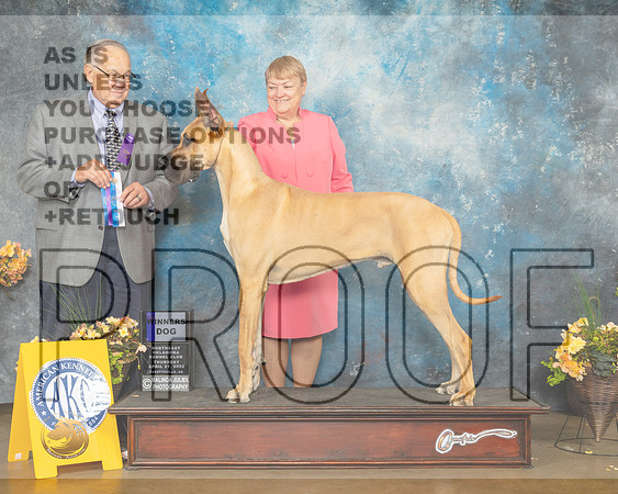 Great Dane #7 Thur WD Judge John Wade-MMJ_8738-NWARK2022-HR3