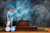 Chihuahua Long Coat #21 Fri G2 Judge Suzanne Dillin