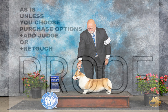 Pembroke Welsh Corgi #14 Sat G1 Judge Polly (Mrs Robert) D Smith__JP_5581_San Antonio_2024_HR3