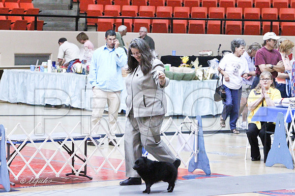 NonSporting-6742LR