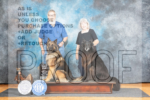 Belgian Sheepdog Nan Sanders__JP_7102_MARSHALL_2024_HR3