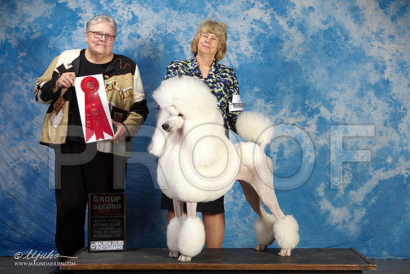 SS2_0698-BeltonJan2015IABCA-HR3