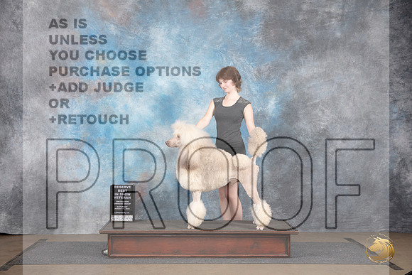 Poodle Standard MC #420 Sat VetRBIS Judge Brenda Landers__JP_2775_LongviewTX_2024_HR3