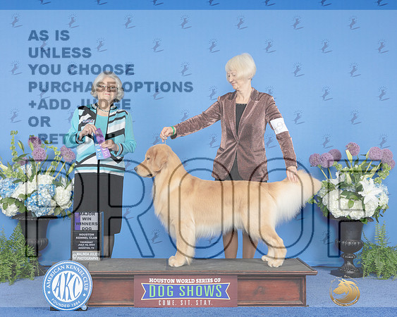 Golden Retriever #9 THUR WD Judge Annella Cooper_JP_8163e_Houston_2024-HR3