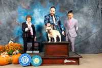 French Bulldog #11 Sun SD Judge Donnelle Richards