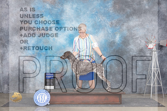 German Shorthaired Pointer #8 Sat G1 Judge Ann Roth__JP_6020_Amarillo_2024_HR3