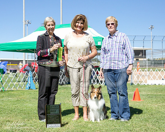 _CL_0367-AlamogordoOct2014-HR3