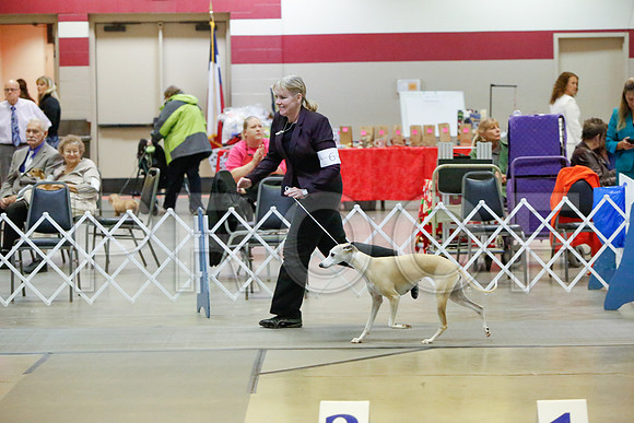_JJ_4097-AmarilloSept2014-HR3