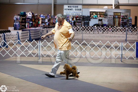 _JJ_3835-SanAntonioJul2014-HR