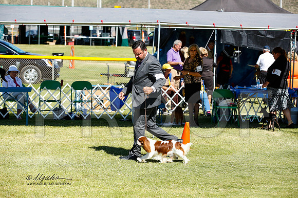 _JN_1171-AlamogordoOct2014-HR3