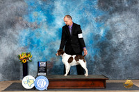 Brittany #8 Sat WBBOWM Judge Sharol Candace Way