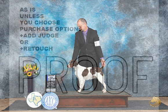 Brittany #8 Sat WBBOWM Judge Sharol Candace Way__JP_9763_Abilene_2024_HR3