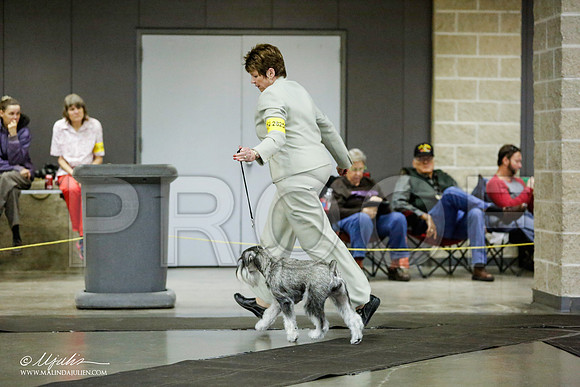 _RH_1832-BeltonJan2015IABCA-HR3