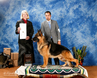 German Shepherd Dog #27 Sat G4 +A1