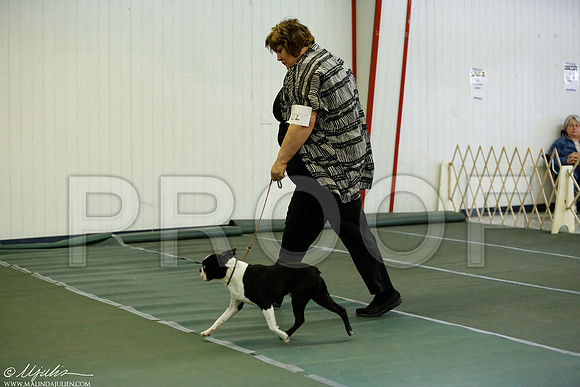 _JJ_2024-DentonMar2015-HR3