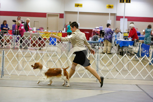 _JJ_2566-AmarilloSept2014-HR3