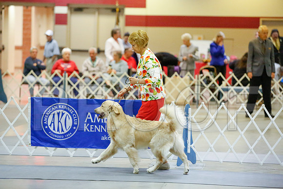 _JJ_7083-AmarilloSept2014-HR3