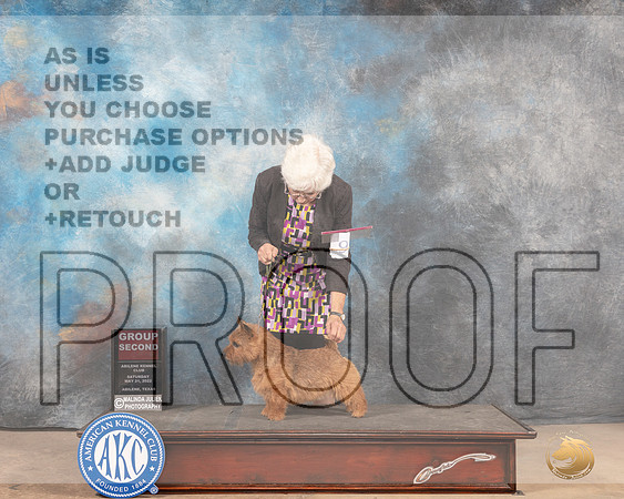 Norwich Terrier #9 Sat G2 Judge Gloria Kerr-MMJ_4077-Abilene2022-HR3