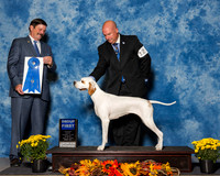 Pointers #12 Sun G1 Cheek Kelley Judge Mr James Fehring