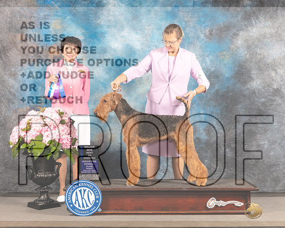 Airedale Terrier #3 FRI WB BOW Major Judge Barbara Alderman-_MJ_5382e_Hstn2022-HR3
