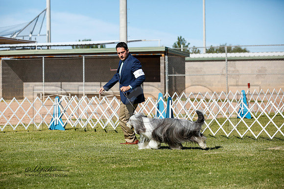 _JJ_2580-AlamogordoOct2014-HR3