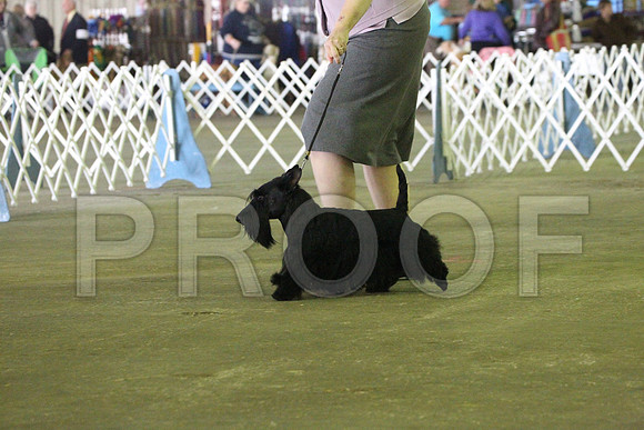 MJS_6062