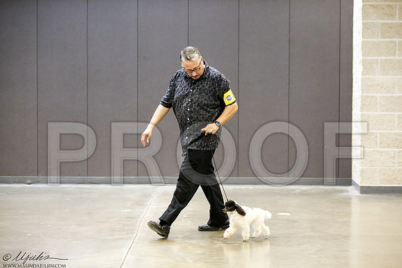 _J3L0139-BeltSep2014-HR