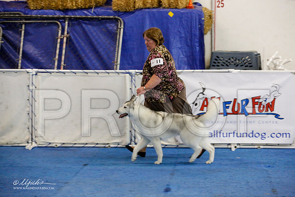 _M3_8232-AddisonHuskyMar2015-HR3
