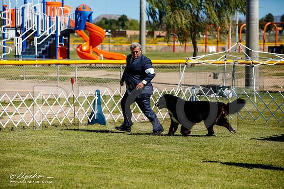 _JJ_0019-AlamogordoOct2014-HR3