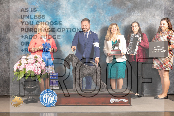 Kerry Blue Terrier #7 FRI G1 Judge Karen McFarlane_MJ_5699_Houston_2022_HR3