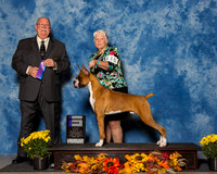 Boxers #15 Sat WD Matli Marsha Mary Frances Burleson Judge Mr Douglas R Holloway Jr
