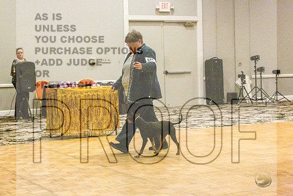 Manchester Terrier MTOY Candids-JJL_2244-Hstn2022_HR3