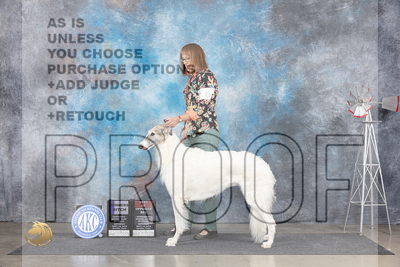 Borzoi #6 Sat WBBOS Judge Pat Trotter__JP_5850_Amarillo_2024_HR3