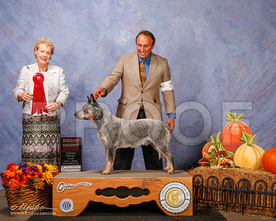 _CL_4555-2-SanAngelo2014-HR3