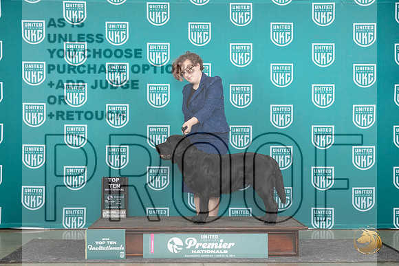 Labrador Retriever #484 Thur T10 Judge Lori Sargent__JP_1200_Premier_2024_HR3