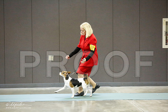 _RH_0387-BeltonJan2015-HR3