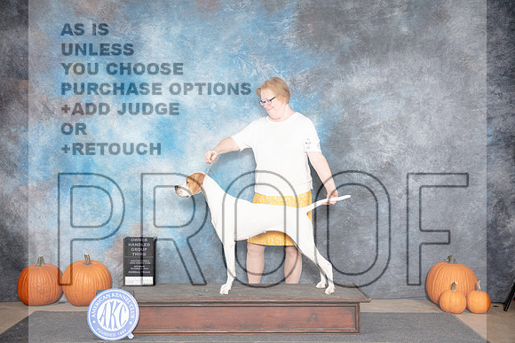 Pointer #6 Sat OHG3 Judge Tim Catterson__JP_8890_Humble_2024_HR3