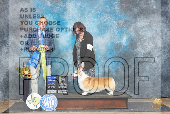 Pembroke Welsh Corgi #15 Sat OHRBIS Judge Rick Gschwender__JP_0135_Abilene_2024_HR3