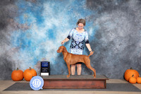 Vizsla #8 Sun G1 Judge Jan Paulk
