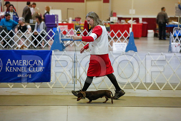 _JJ_3589-AmarilloSept2014-HR3