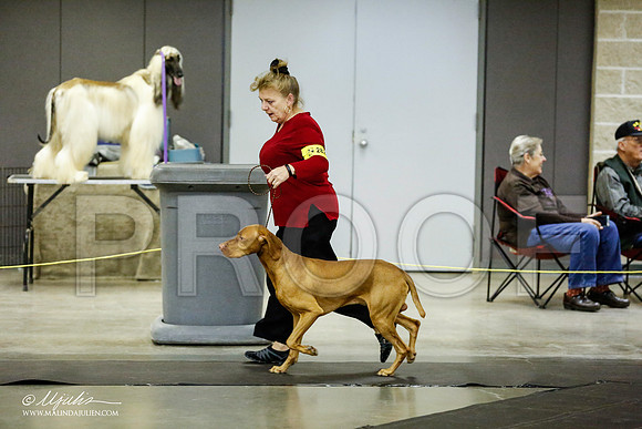 _RH_1182-BeltonJan2015IABCA-HR3