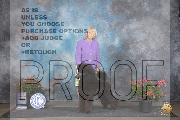 Poodle Std #38 Sat WBM Judge Karen McFarlane __JP_5188_San Antonio_2024_HR3